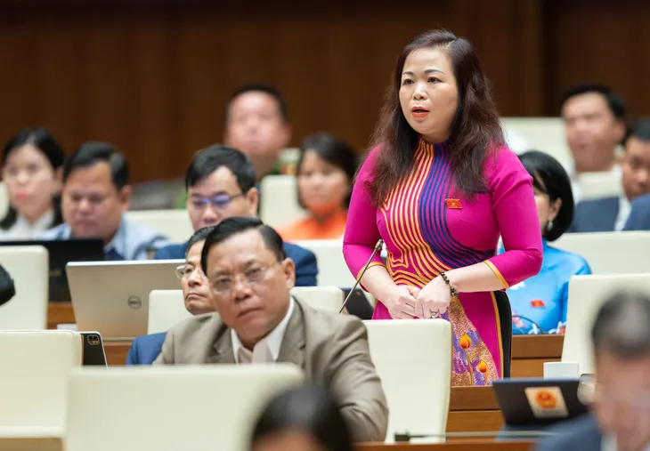 Có tình trạng lạm dụng quyền lực để trục lợi từ đất đai - Ảnh 1. Có tình trạng lạm dụng quyền lực để trục lợi từ đất đai - Ảnh 1.