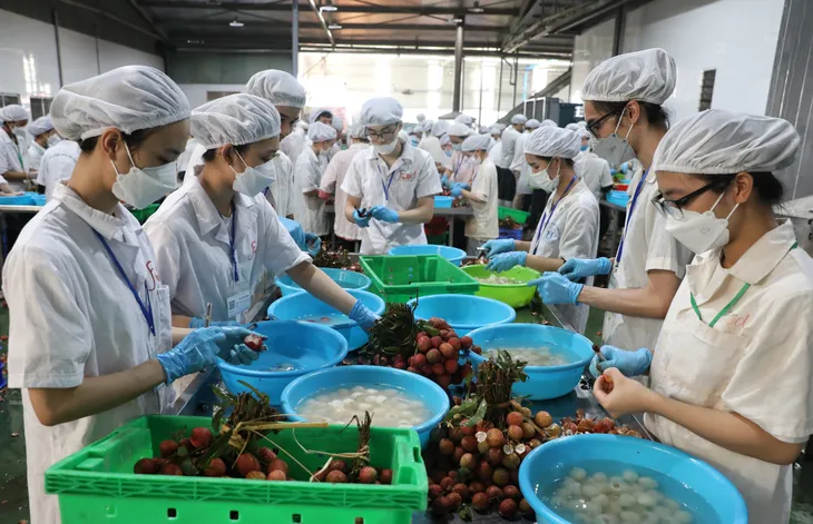 Nông nghiệp xuất siêu gần 7 tỷ USD - Ảnh 2. Nông nghiệp xuất siêu gần 7 tỷ USD - Ảnh 2.