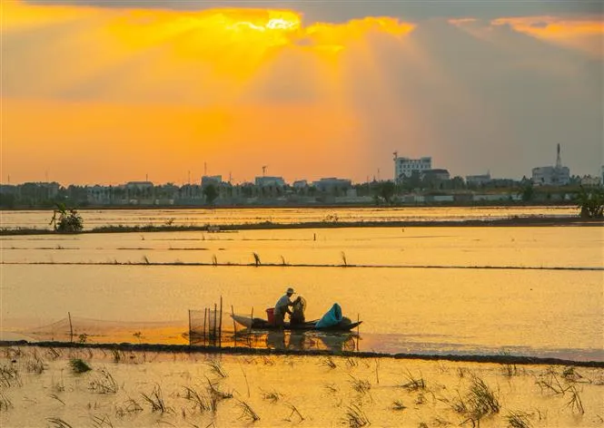 Đỉnh lũ ĐBSCL có thể xuất hiện giữa tháng 10 - Ảnh 2. Đỉnh lũ ĐBSCL có thể xuất hiện giữa tháng 10 - Ảnh 2.