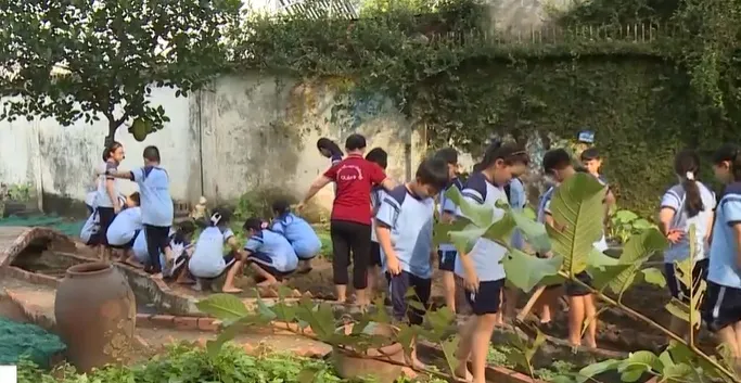 Học sinh TP Hồ Chí Minh thích thú với mô hình trường học xanh - Ảnh 1.