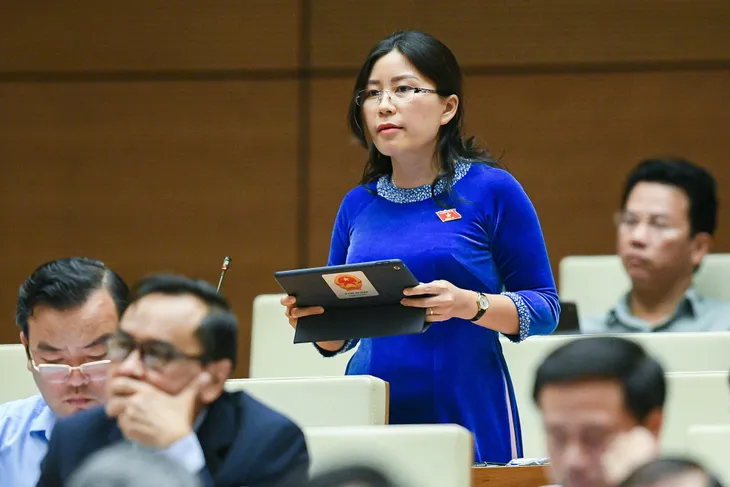 ĐBQH: “Nghĩ đến giá đất, nhiều người lạnh hết cả người” - Ảnh 3. ĐBQH: “Nghĩ đến giá đất, nhiều người lạnh hết cả người” - Ảnh 3.