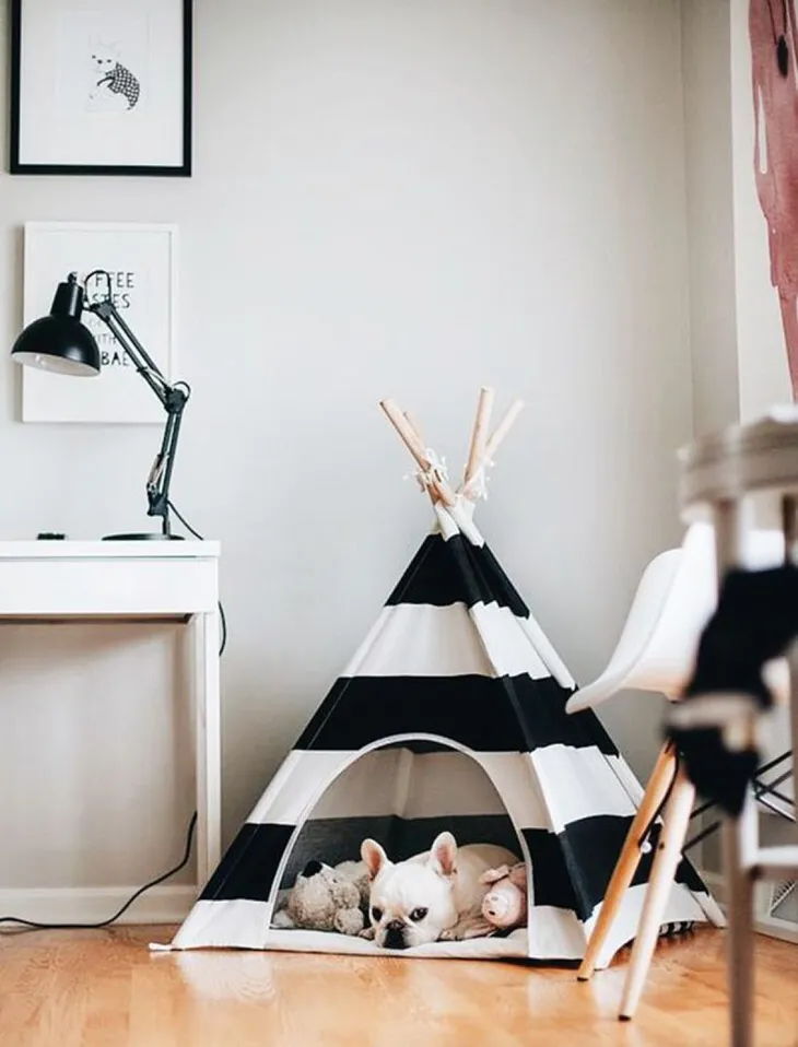 Thiết kế độc đáo chỗ ở cho thú cưng - Ảnh 2. Thiết kế độc đáo chỗ ở cho thú cưng - Ảnh 2.