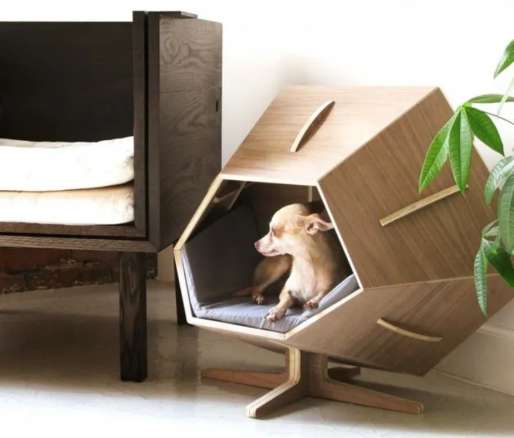 Thiết kế độc đáo chỗ ở cho thú cưng - Ảnh 13. Thiết kế độc đáo chỗ ở cho thú cưng - Ảnh 13.
