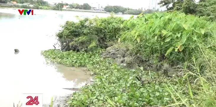 Sạt lở bờ kênh đê bao, hàng trăm hộ dân bị ảnh hưởng - Ảnh 4. Sạt lở bờ kênh đê bao, hàng trăm hộ dân bị ảnh hưởng - Ảnh 4.