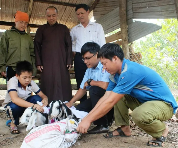 Ngân hàng dê giống giúp học sinh nghèo đến trường - Ảnh 1. Ngân hàng dê giống giúp học sinh nghèo đến trường - Ảnh 1.