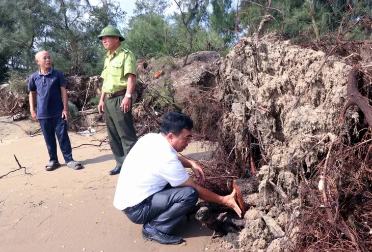 Hà Tĩnh: Sớm có giải pháp khắc phục tình trạng biển xâm thực - Ảnh 1. Hà Tĩnh: Sớm có giải pháp khắc phục tình trạng biển xâm thực - Ảnh 1.
