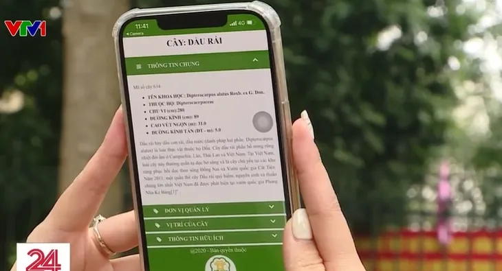 Chuyển đổi số trong quản lý cây xanh tại Hà Nội - Ảnh 1. Chuyển đổi số trong quản lý cây xanh tại Hà Nội - Ảnh 1.