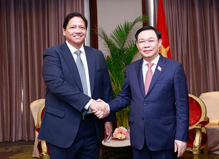 Thúc đẩy hợp tác kinh tế Việt Nam - Philippines - Ảnh 1. Thúc đẩy hợp tác kinh tế Việt Nam - Philippines - Ảnh 1.