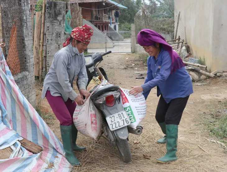 Rộn ràng mùa thu nhặt hạt dẻ trong đại ngàn Mường Phăng - Ảnh 7. Rộn ràng mùa thu nhặt hạt dẻ trong đại ngàn Mường Phăng - Ảnh 7.