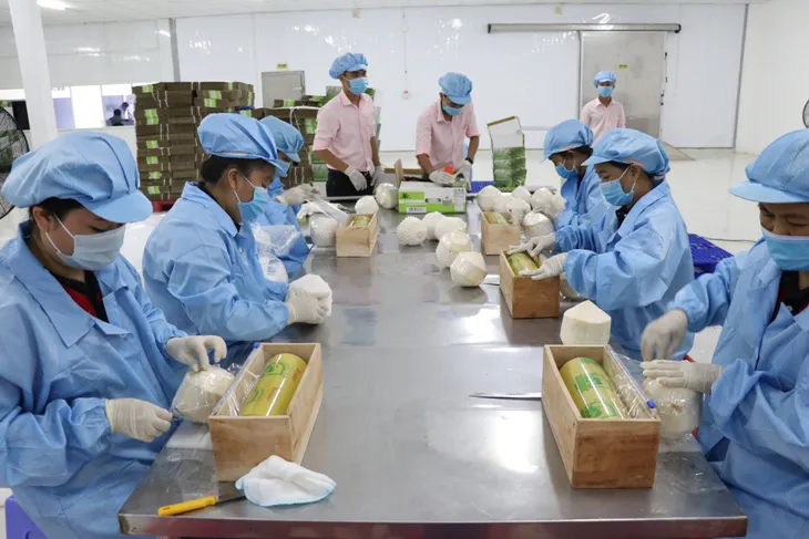 Doanh nghiệp xuất khẩu hướng về “sân nhà” - Ảnh 1. Doanh nghiệp xuất khẩu hướng về “sân nhà” - Ảnh 1.