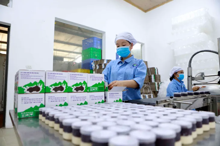 Xuất khẩu chính ngạch “mở đường” cho nông sản hướng đến sự chuyên nghiệp - Ảnh 2. Xuất khẩu chính ngạch “mở đường” cho nông sản hướng đến sự chuyên nghiệp - Ảnh 2.