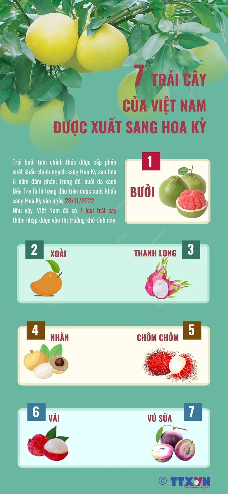7 trái cây của Việt Nam được xuất sang Hoa Kỳ - Ảnh 1. 7 trái cây của Việt Nam được xuất sang Hoa Kỳ - Ảnh 1.