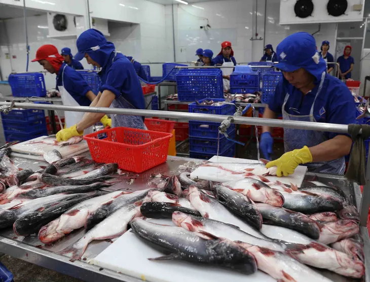 VASEP: Năm 2023, ngành thủy sản đối mặt nhiều khó khăn - Ảnh 1. VASEP: Năm 2023, ngành thủy sản đối mặt nhiều khó khăn - Ảnh 1.