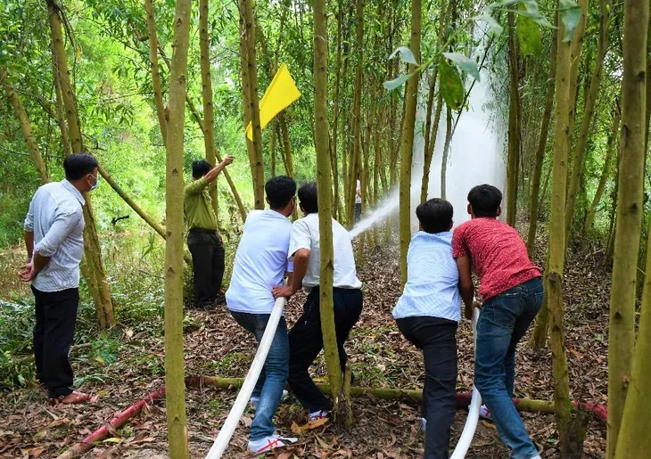 Cà Mau chủ động xây dựng phương án phòng cháy chữa cháy rừng - Ảnh 1. Cà Mau chủ động xây dựng phương án phòng cháy chữa cháy rừng - Ảnh 1.