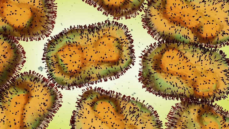 Virus đậu mùa khỉ lây truyền 4 ngày trước khi các triệu chứng bệnh xuất hiện - Ảnh 1. Virus đậu mùa khỉ lây truyền 4 ngày trước khi các triệu chứng bệnh xuất hiện - Ảnh 1.