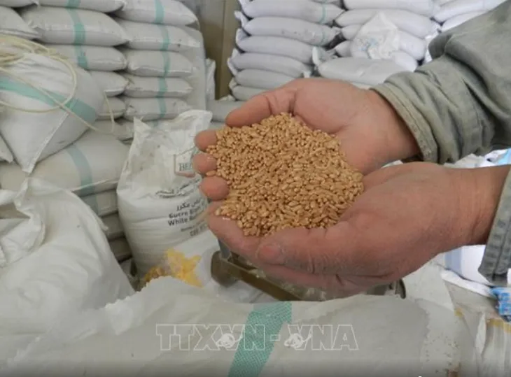 Việt Nam sẽ làm gì để đảm bảo an ninh lương thực quốc gia? - Ảnh 1. Việt Nam sẽ làm gì để đảm bảo an ninh lương thực quốc gia? - Ảnh 1.