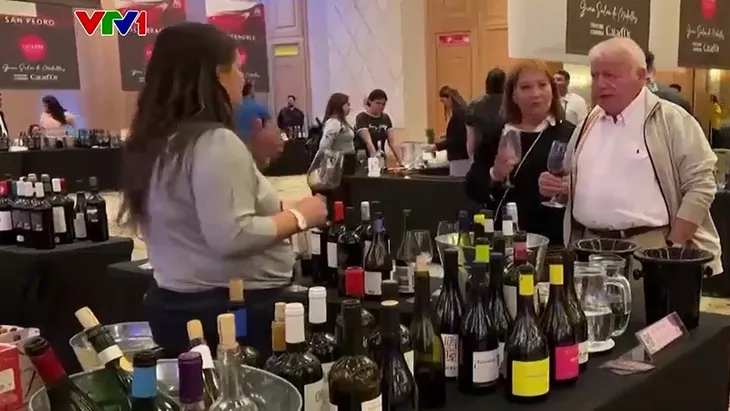 Rượu vang Chile thích ứng với biến đổi khí hậu - Ảnh 1. Rượu vang Chile thích ứng với biến đổi khí hậu - Ảnh 1.