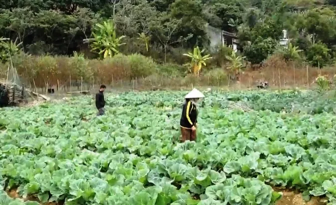 Lạng Sơn đón đợt rét đậm đầu tiên, Mẫu Sơn chỉ còn hơn 4 độ C - Ảnh 2. Lạng Sơn đón đợt rét đậm đầu tiên, Mẫu Sơn chỉ còn hơn 4 độ C - Ảnh 2.