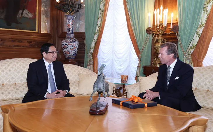 Thủ tướng Phạm Minh Chính hội kiến Đại Công tước Luxembourg - Ảnh 4. Thủ tướng Phạm Minh Chính hội kiến Đại Công tước Luxembourg - Ảnh 4.
