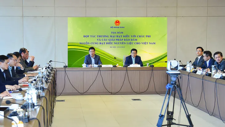 Xây dựng chuỗi phát triển bền vững trong hợp tác thương mại hạt điều với châu Phi - Ảnh 1. Xây dựng chuỗi phát triển bền vững trong hợp tác thương mại hạt điều với châu Phi - Ảnh 1.