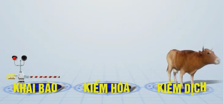 Kiểm soát động vật nhập khẩu còn nhiều lỗ hổng - Ảnh 1. Kiểm soát động vật nhập khẩu còn nhiều lỗ hổng - Ảnh 1.