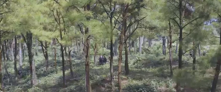 Hành trình công lý - Tập 28: Rượt đuổi hung thủ giết người, Nguyệt bị đánh trọng thương - Ảnh 48. Hành trình công lý - Tập 28: Rượt đuổi hung thủ giết người, Nguyệt bị đánh trọng thương - Ảnh 48.