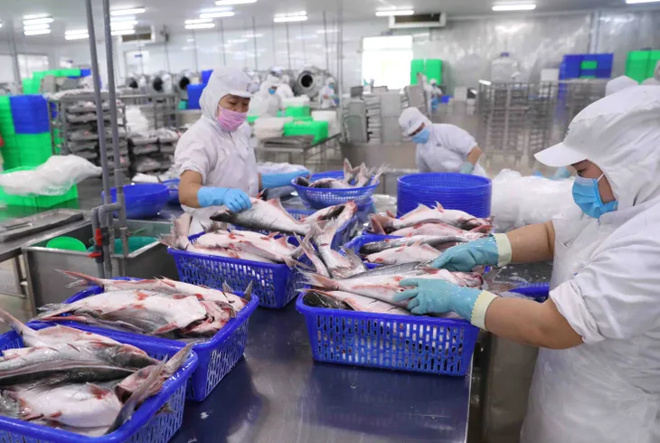 Xuất nhập khẩu hướng dự kiến vượt 700 tỷ USD - Ảnh 1. Xuất nhập khẩu hướng dự kiến vượt 700 tỷ USD - Ảnh 1.