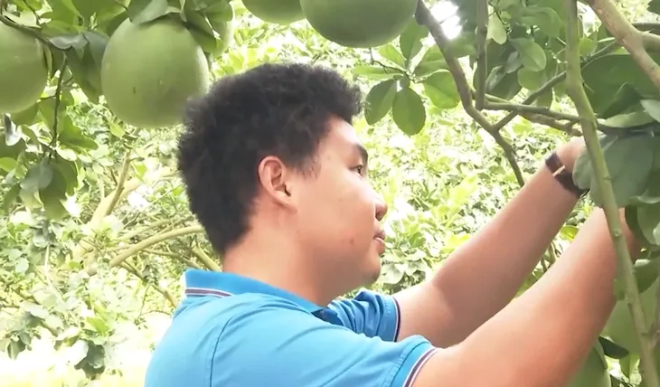 Phát triển nông nghiệp hữu cơ - Ảnh 1. Phát triển nông nghiệp hữu cơ - Ảnh 1.