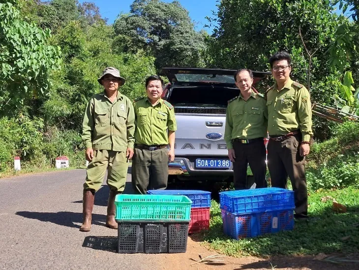 Bình Phước: Thả 14 loài động vật quý hiếm về rừng tự nhiên - Ảnh 1. Bình Phước: Thả 14 loài động vật quý hiếm về rừng tự nhiên - Ảnh 1.
