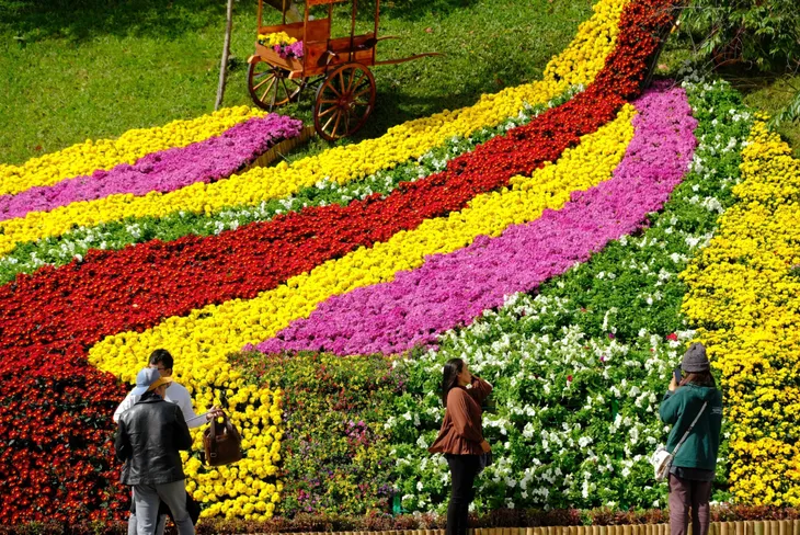 Festival hoa Đà Lạt: Điểm hẹn của người yêu hoa - Ảnh 1. Festival hoa Đà Lạt: Điểm hẹn của người yêu hoa - Ảnh 1.