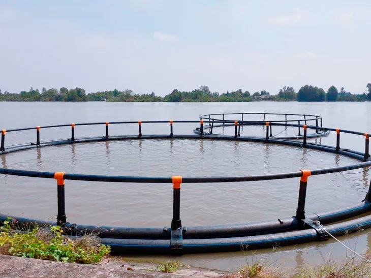 Lồng nuôi HDPE: Giải pháp nuôi trồng thủy sản bền vững - Ảnh 1. Lồng nuôi HDPE: Giải pháp nuôi trồng thủy sản bền vững - Ảnh 1.