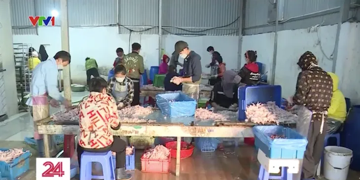 Chân gà bẩn bốc mùi “đội lốt” hàng chất lượng tuồn ra thị trường - Ảnh 5. Chân gà bẩn bốc mùi “đội lốt” hàng chất lượng tuồn ra thị trường - Ảnh 5.