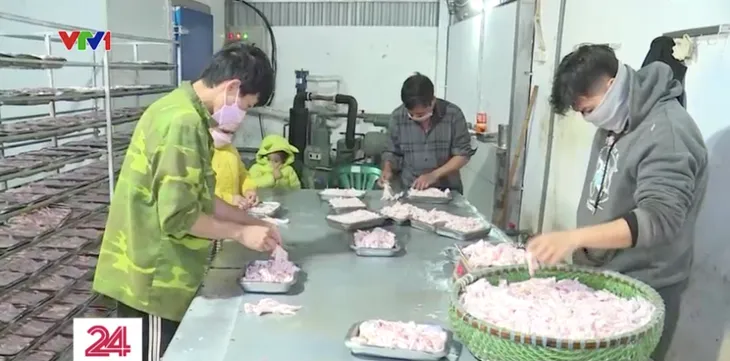 Chân gà bẩn bốc mùi “đội lốt” hàng chất lượng tuồn ra thị trường - Ảnh 7. Chân gà bẩn bốc mùi “đội lốt” hàng chất lượng tuồn ra thị trường - Ảnh 7.
