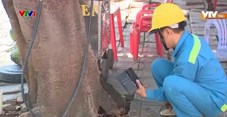 Rườm rà thủ tục xử lý cây xanh mục ruỗng - Ảnh 1. Rườm rà thủ tục xử lý cây xanh mục ruỗng - Ảnh 1.