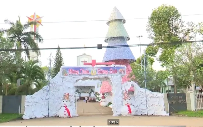 Những cây thông độc đáo mùa Giáng sinh - Ảnh 1. Những cây thông độc đáo mùa Giáng sinh - Ảnh 1.