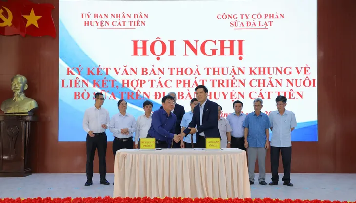 Tập đoàn TH bàn giao bò sữa HF thuần chủng cho nông dân Lâm Đồng - Ảnh 1. Tập đoàn TH bàn giao bò sữa HF thuần chủng cho nông dân Lâm Đồng - Ảnh 1.