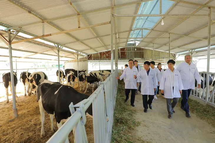 Tập đoàn TH bàn giao bò sữa HF thuần chủng cho nông dân Lâm Đồng - Ảnh 2. Tập đoàn TH bàn giao bò sữa HF thuần chủng cho nông dân Lâm Đồng - Ảnh 2.