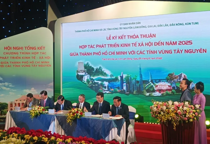 Tổng kết 11 năm triển khai hợp tác phát triển vùng Tây Nguyên với nhiều dấu ấn - Ảnh 3. Tổng kết 11 năm triển khai hợp tác phát triển vùng Tây Nguyên với nhiều dấu ấn - Ảnh 3.