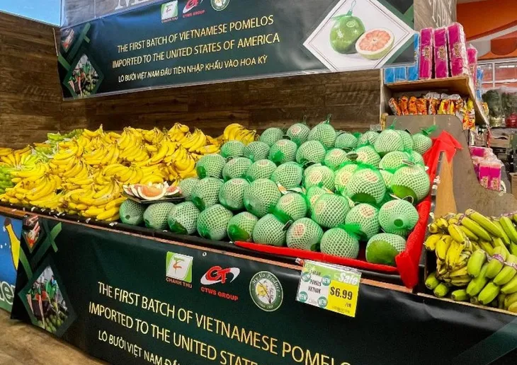 Bưởi Việt Nam lên kệ siêu thị Mỹ - Ảnh 1. Bưởi Việt Nam lên kệ siêu thị Mỹ - Ảnh 1.