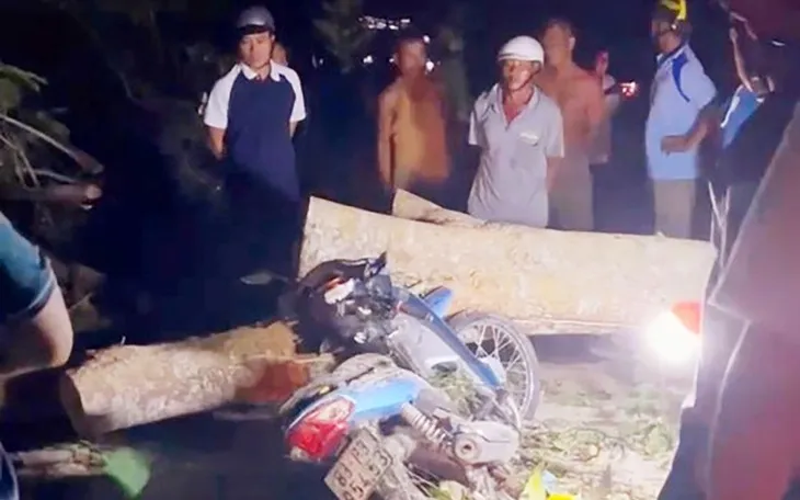 Cây bật gốc đè 2 bà cháu tử vong - Ảnh 1. Cây bật gốc đè 2 bà cháu tử vong - Ảnh 1.