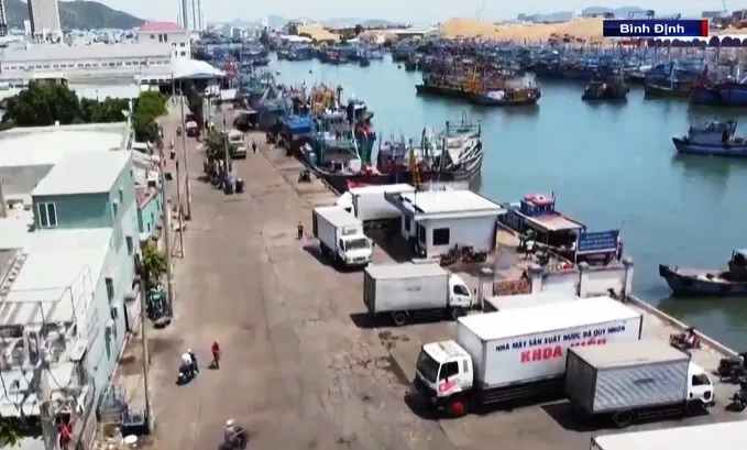 Thực hiện đợt cao điểm 180 ngày chống khai thác IUU - Ảnh 2. Thực hiện đợt cao điểm 180 ngày chống khai thác IUU - Ảnh 2.