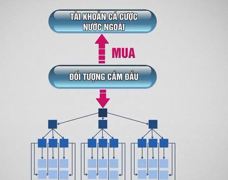 Thủ đoạn tinh vi của tội phạm cá độ bóng đá - Ảnh 1. Thủ đoạn tinh vi của tội phạm cá độ bóng đá - Ảnh 1.