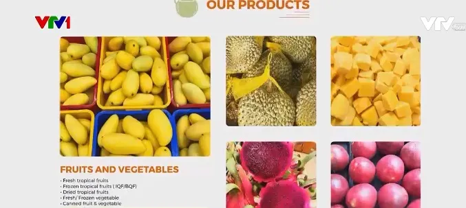 Bán nông sản Việt trên các sàn thương mại điện tử Trung Quốc - Ảnh 1. Bán nông sản Việt trên các sàn thương mại điện tử Trung Quốc - Ảnh 1.