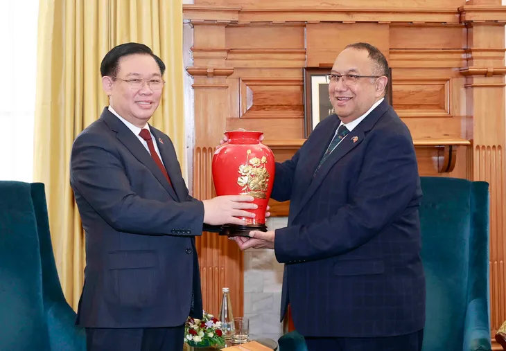 Chủ tịch Quốc hội Việt Nam và New Zealand hội đàm - Ảnh 3. Chủ tịch Quốc hội Việt Nam và New Zealand hội đàm - Ảnh 3.