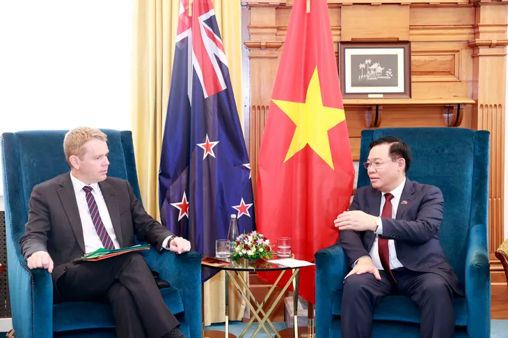 Thúc đẩy hợp tác Việt Nam - New Zealand - Ảnh 2. Thúc đẩy hợp tác Việt Nam - New Zealand - Ảnh 2.