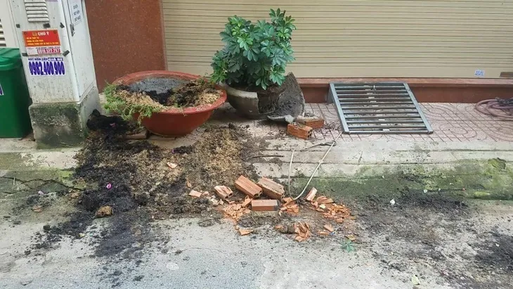 2 thanh niên lái xe ba gác đi trộm mai về chơi Tết - Ảnh 3. 2 thanh niên lái xe ba gác đi trộm mai về chơi Tết - Ảnh 3.