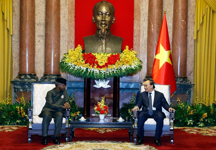 Việt Nam sẵn sàng mở rộng hợp tác với Nigeria - Ảnh 3.