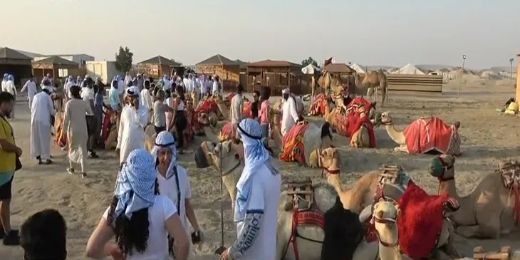Lạc đà Qatar tăng ca phục vụ du khách - Ảnh 1. Lạc đà Qatar tăng ca phục vụ du khách - Ảnh 1.