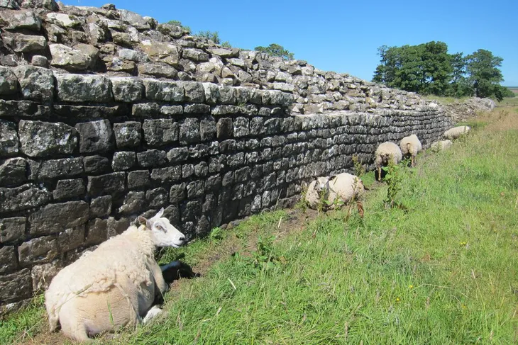 Biến đổi khí hậu đe dọa pháo đài phòng thủ Bức tường Hadrian ở Anh - Ảnh 4. Biến đổi khí hậu đe dọa pháo đài phòng thủ Bức tường Hadrian ở Anh - Ảnh 4.