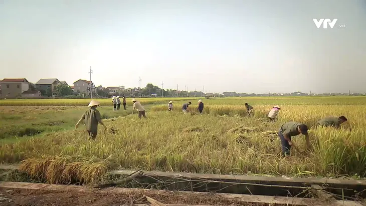Phố trong làng - Tập cuối: Thanh xuân ý nghĩa của các chàng công an xã Tân Xuân - Ảnh 4. Phố trong làng - Tập cuối: Thanh xuân ý nghĩa của các chàng công an xã Tân Xuân - Ảnh 4.